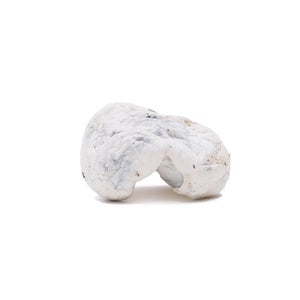 Alien Bubbles (XL)