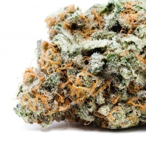 Blue Dream strain on a white background.