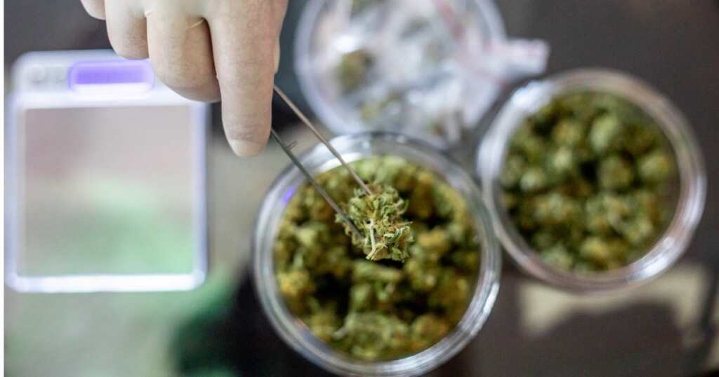 Cannabis - Science test - medical treatment