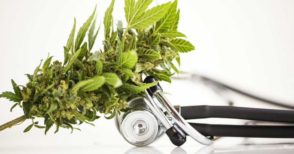 Cannabis - natural remedy to migraine - flower -stethoscope