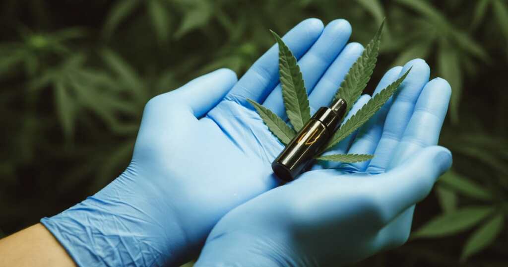 Cannabis plant - strain - fibromyalgia relief treatment - best strain