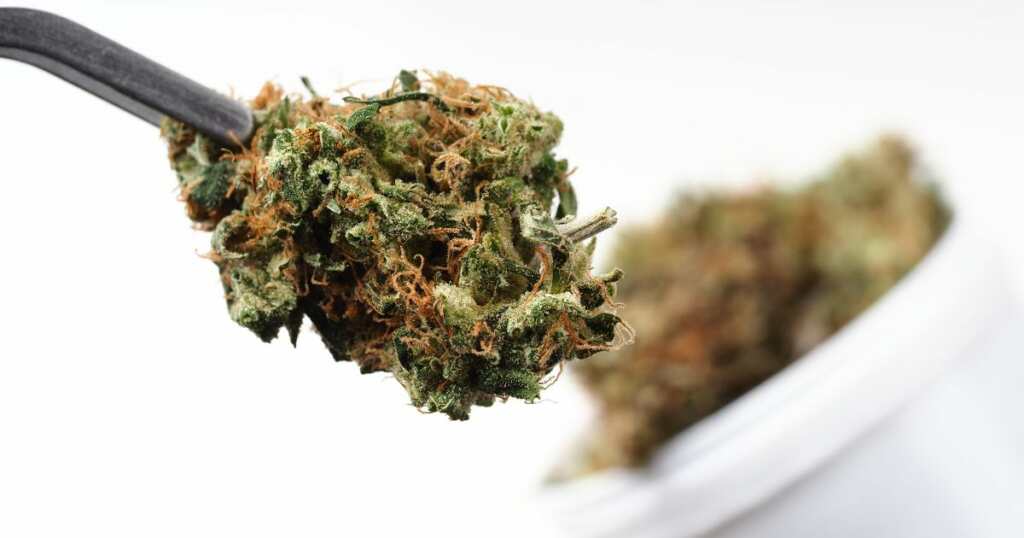 Cannabis strain - dry flower - science - research - medical treatment