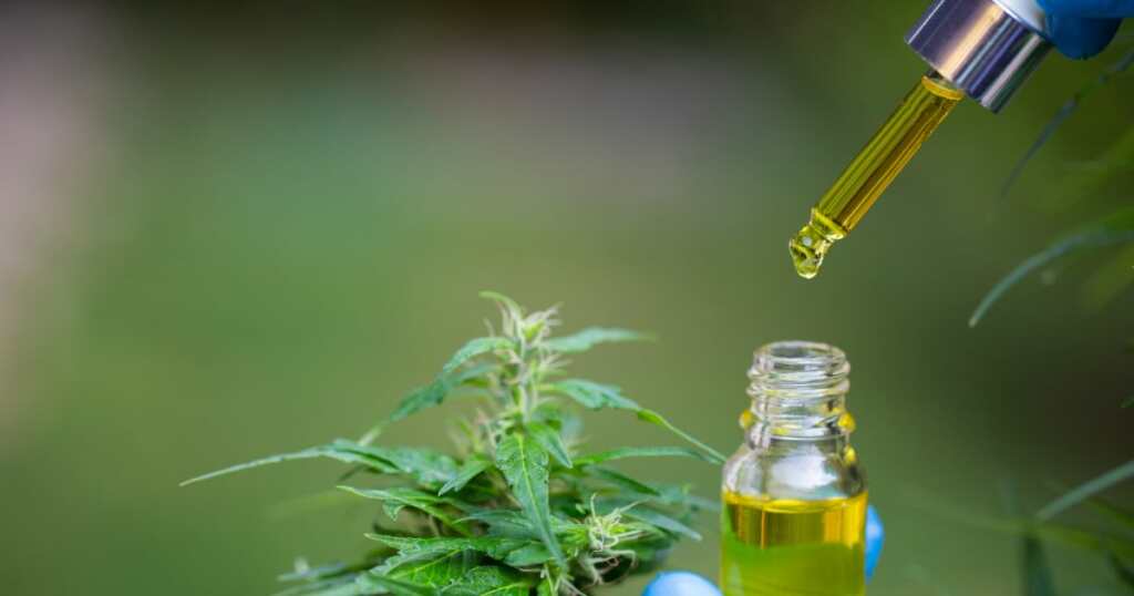 Cannabis treatment for Alzheimer - CBD Oil - alternative treatment