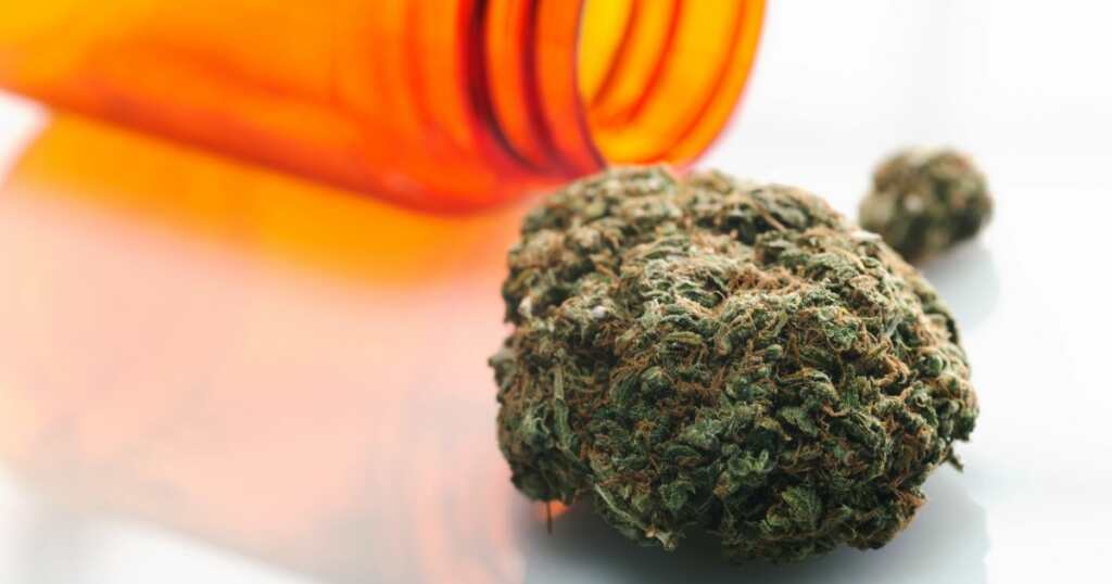 Cannabis strain - dry flower for Chemotherapy patients - nausea relief