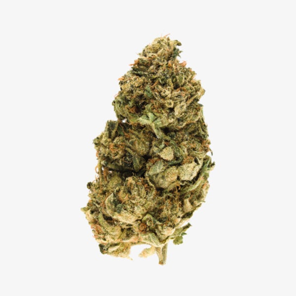Burnaby Buds Buy Donkey Breath - Premium Indica Hybrid Strain