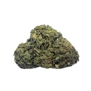 Discover the power of AA Rockstar OG cannabis - a legendary strain with potent effects. Unleash your inner rockstar and experience blissful relaxation. Buy now at burnaby buds!