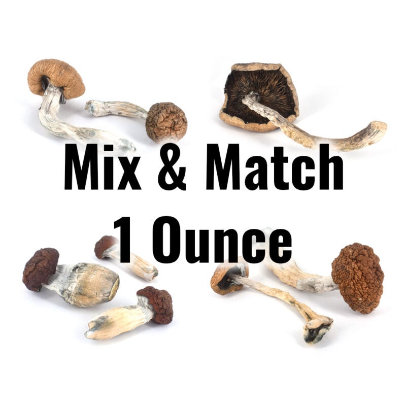 Burnaby Buds' Mix and Match Magic Mushroom Ounce offers an array of shrooms, each one unique in its own way. Try a variety of psychedelic experiences—from relaxation to energizing—in this convenient collection! Get the perfect 'shroom for any occasion — order yours today!