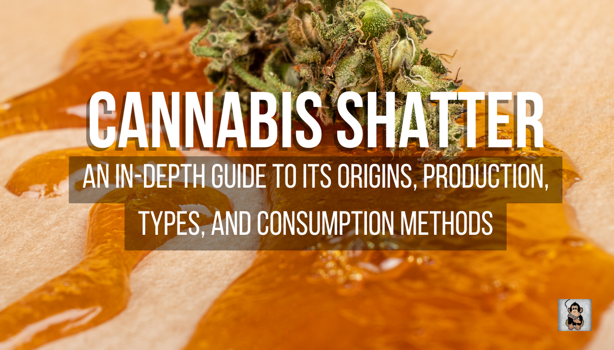 Cannabis Shatter: An In-Depth Guide to Its Origins, Production, Types, and Consumption Methods