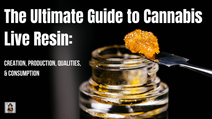 The Ultimate Guide to Cannabis Live Resin: Creation, Production, Qualities, and Consumption