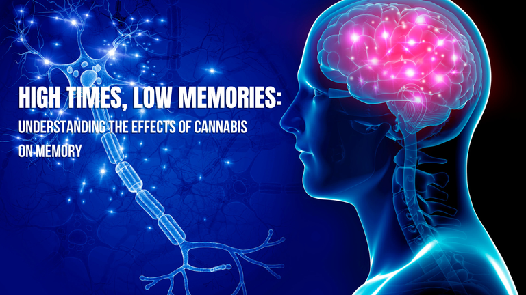 High Times, Low Memories: Understanding the Effects of Cannabis on Memory