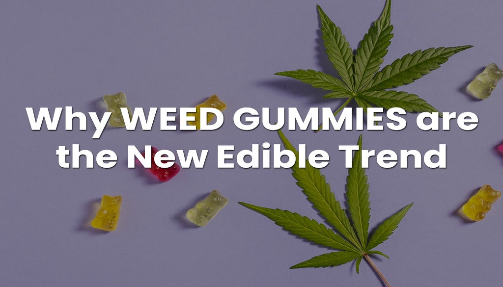 Weed Gummies are the New Edible Trend