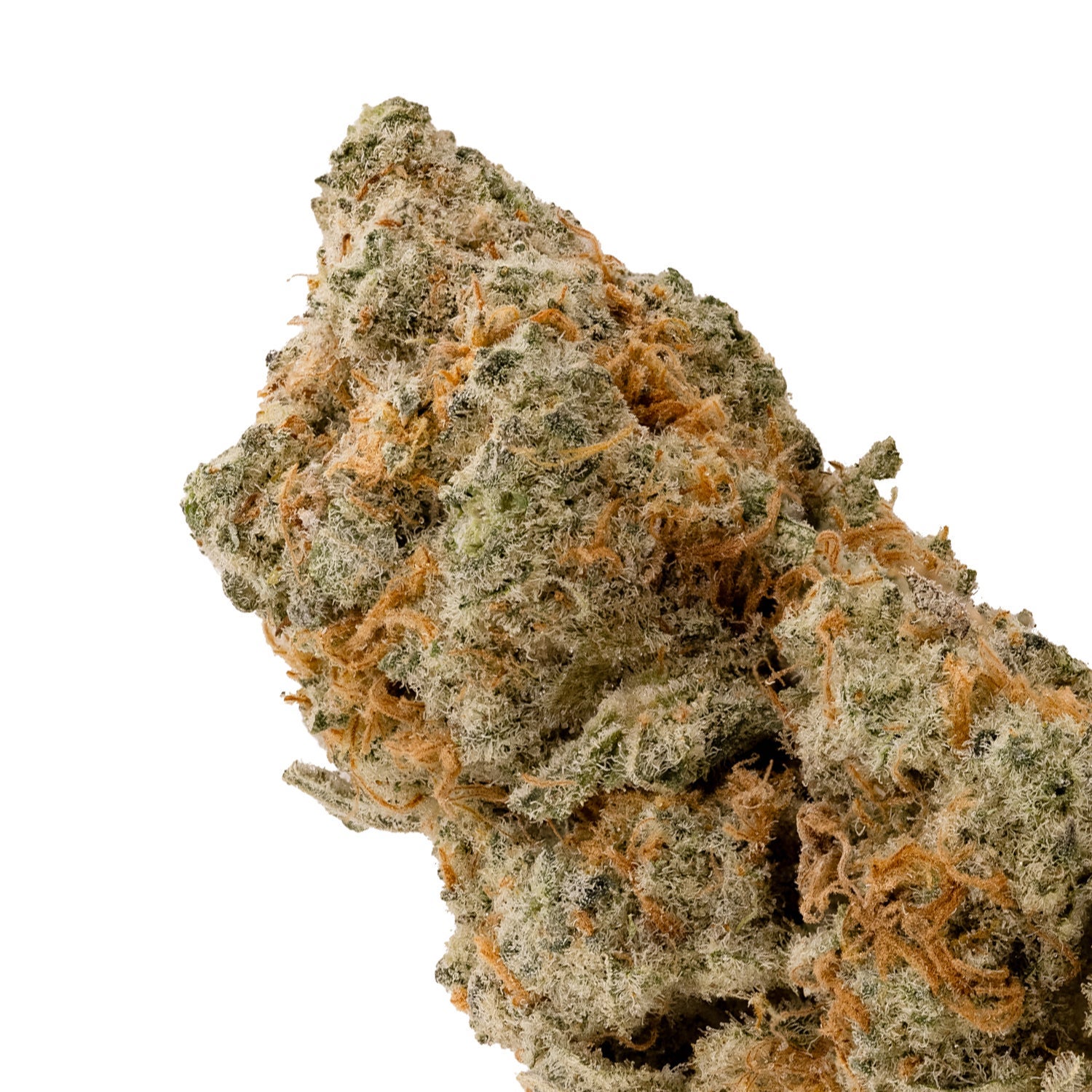 GreyGoose-LuckyFarms-04