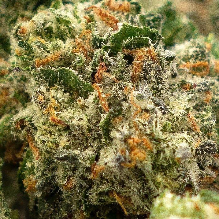 Death-Bubba-Smalls-03
