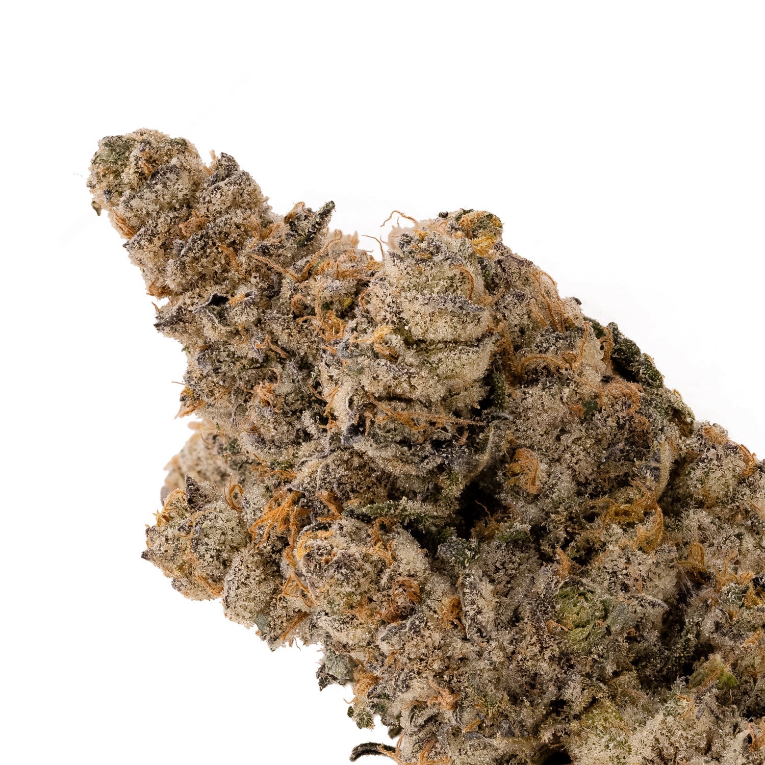 PeanutButterRockstar-04