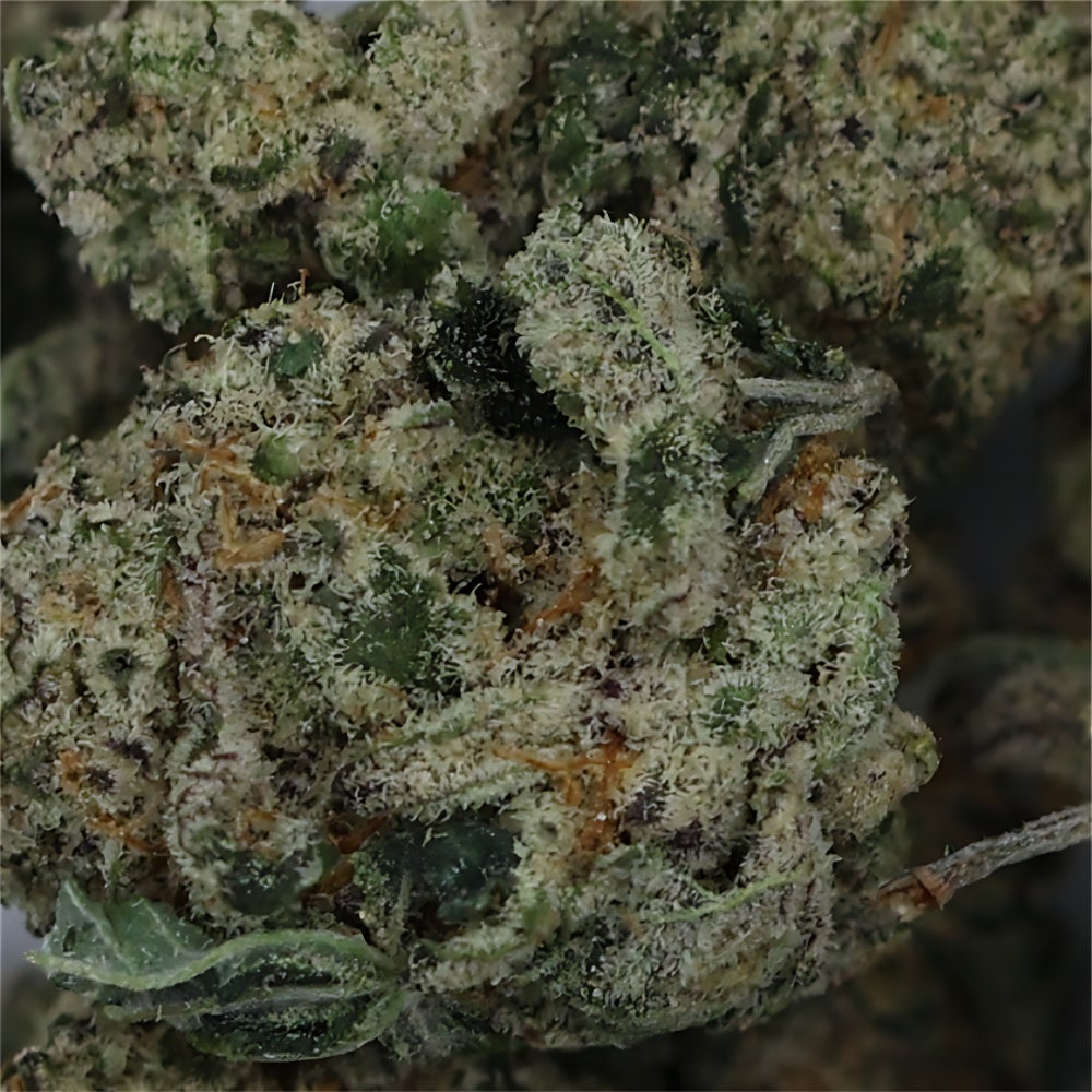 LuckyFarms-Purple-Candy-Smalls-02