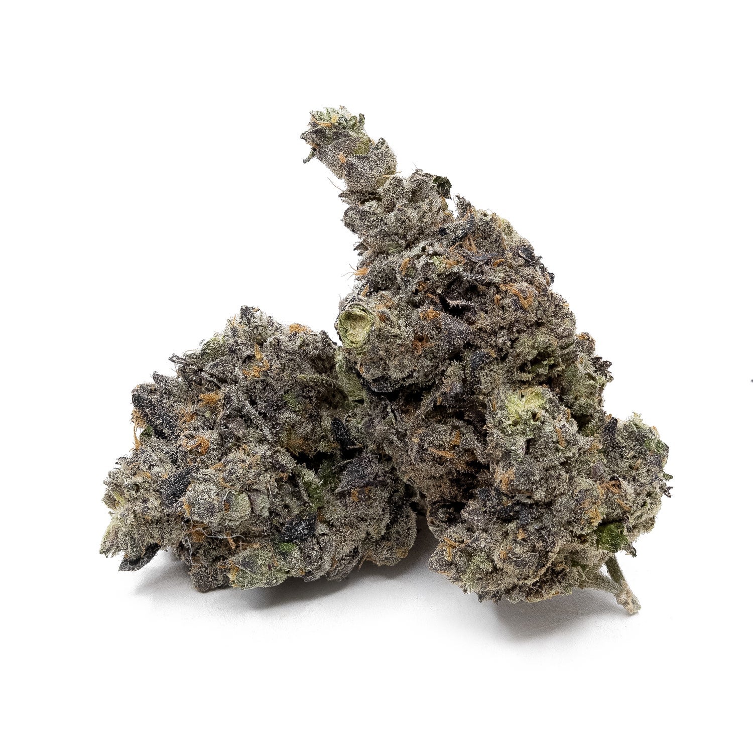 SunsetRuntz-CreamoftheCrop-02