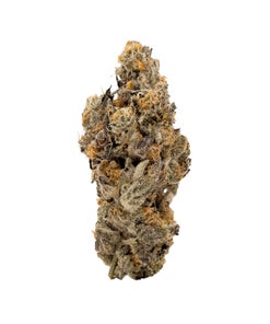 Albatross - Animal Cookies