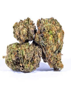 Purple Urkle (AAA)