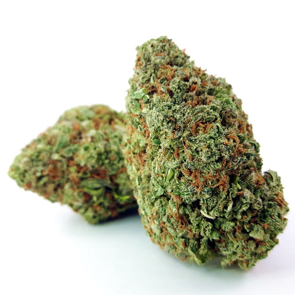 Vibrant Blue Dream bud. Bright orange hairs scattered, on a white background.