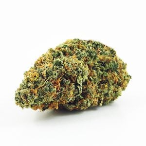Harlequin cannabis strain bud on a white background.