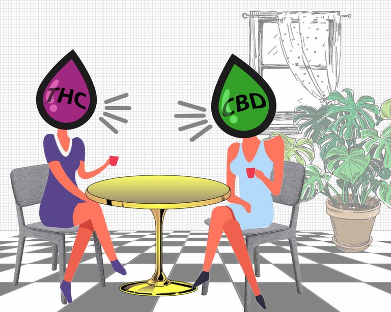 thc vs cbd