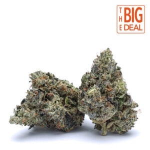 Jet Fuel OG