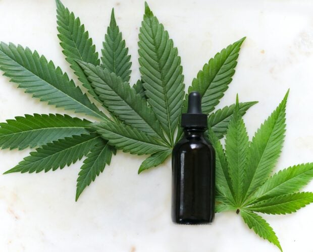 THC tincture in a brown bottle placed on a white background with herbs placed behind it.