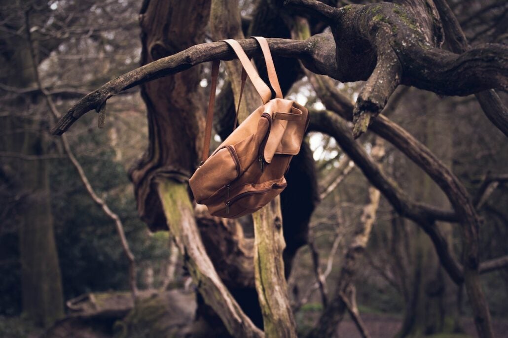 A brown bag hung on a tree branch.