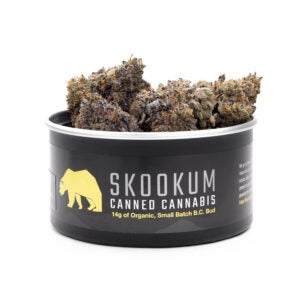Death Star OG premium cannabis tin from Skookum cannabis. Gorgeous cannabis buds sit in high-quality black tins.