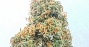 Mendo Breath - A Soothing Indica Delight