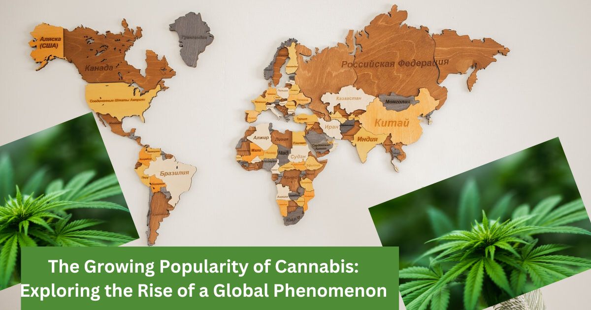 The Growing Popularity of Cannabis: Rise of a Global Phenomenon