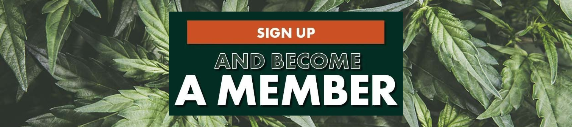 BM - Signup Page Desk Banner
