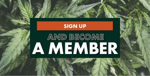 BM - Signup Page Mob Banner