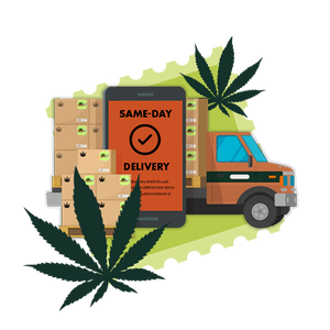 BM-Tier1-Icon1-Delivery