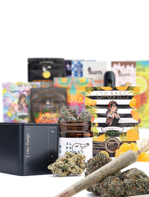 BM-homepagebanner-LanindingPage-500x660-A (1)