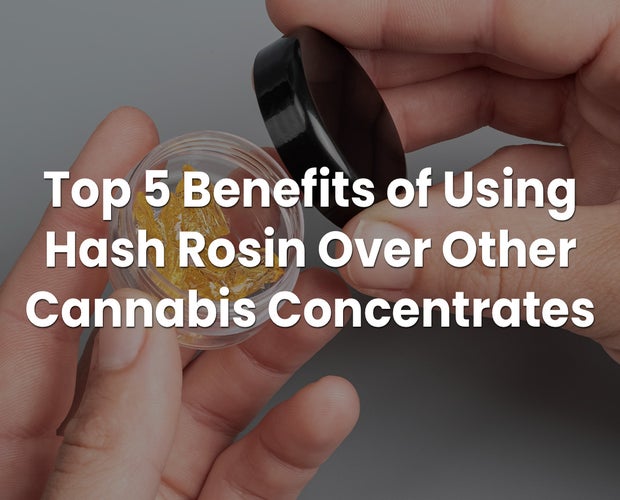 Top 5 Benefits of Using Hash Rosin