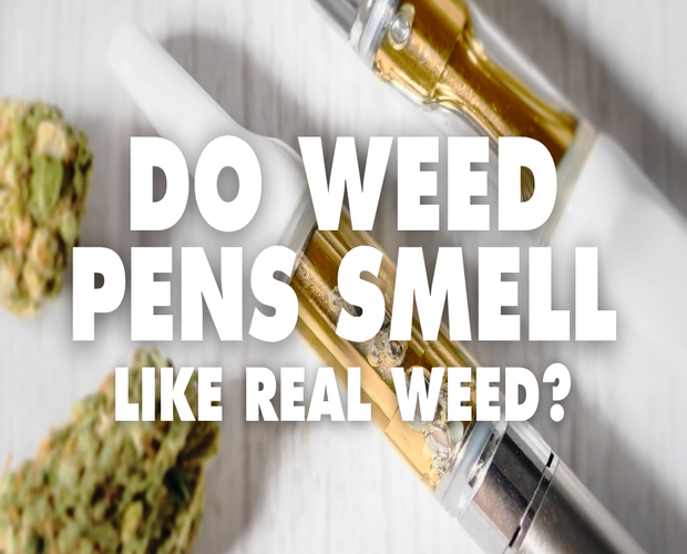 Do Weed Pens Smell Like Real Weed? This image depicts nugs of cannabis and thc weed vape cartridges.