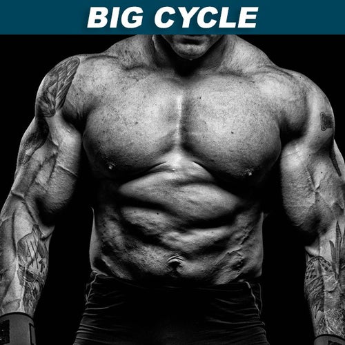 Big-Cycle