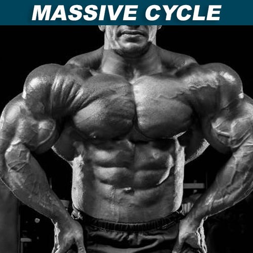 Massive-Cycle