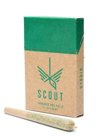Scout Pre-Roll Pack - 0.5g