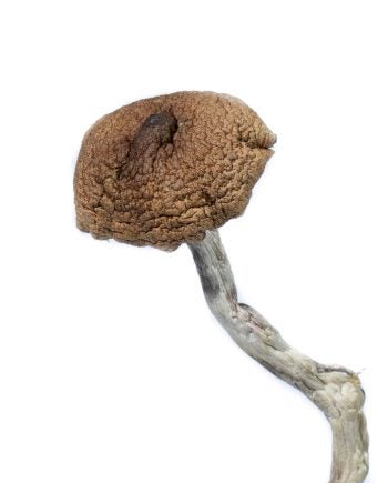 Mazatapec