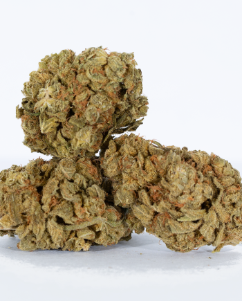 Sour Tangie (AA+)