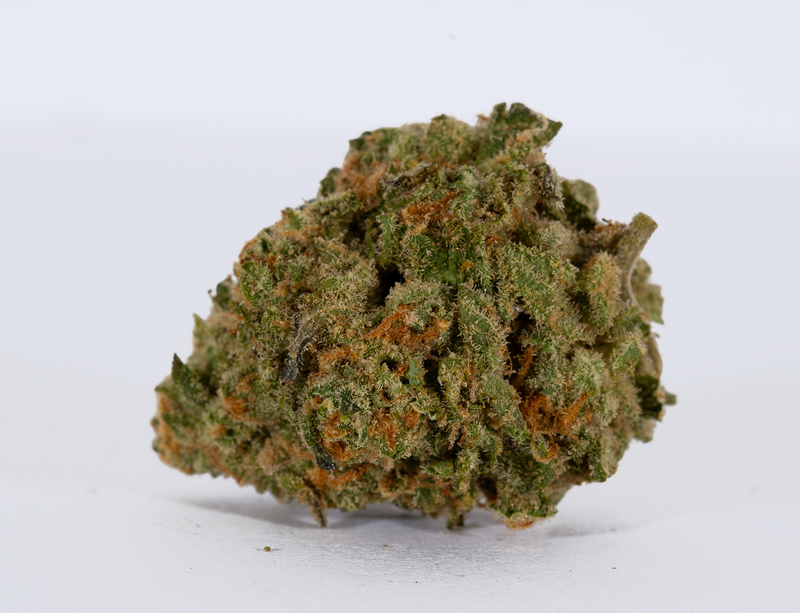 Cream of the Crop - Gelonade