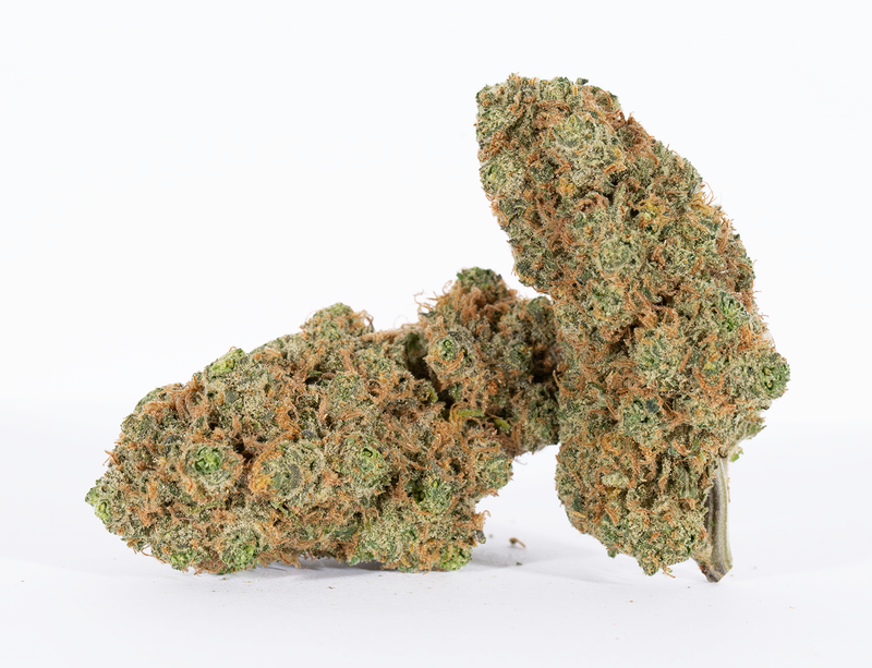 BC Legacy - GS Wookies
