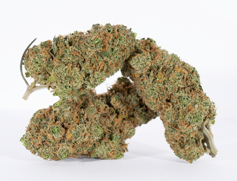 BC Legacy - GS Wookies