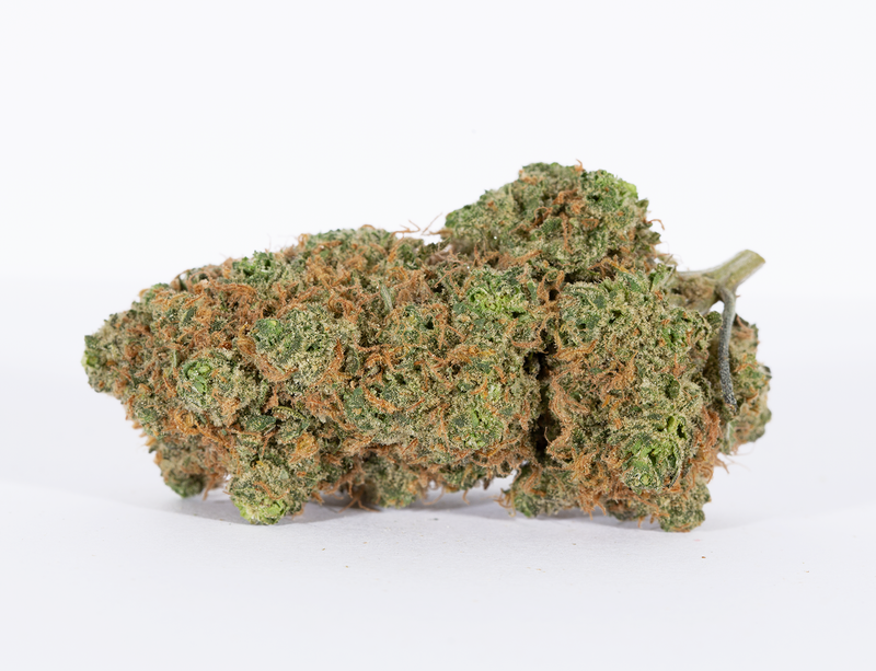 BC Legacy - GS Wookies