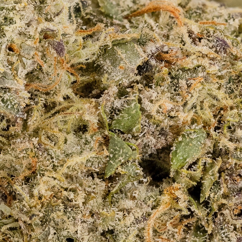 Hoot Cannabis - Mad Dawg