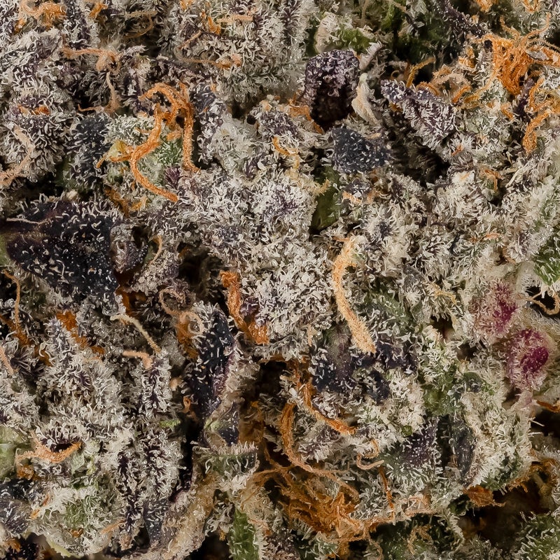 Vibrant Cannabis - Forbidden Dream