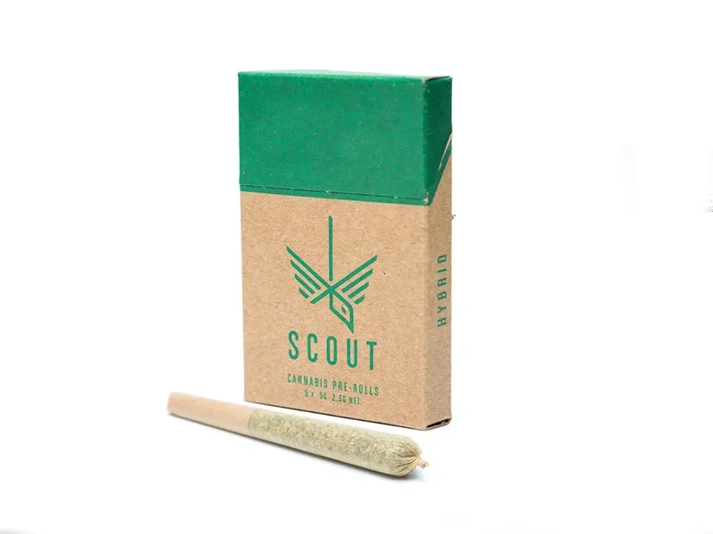 Scout Pre-Roll Pack - 0.5g