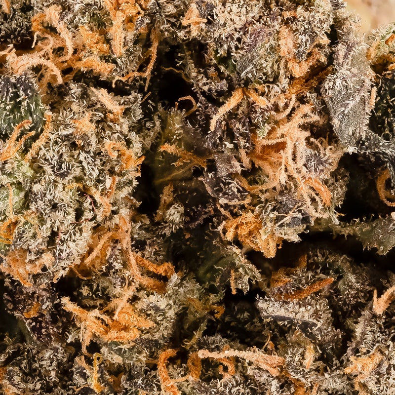 Mystic Cannabis - Sherb BX1